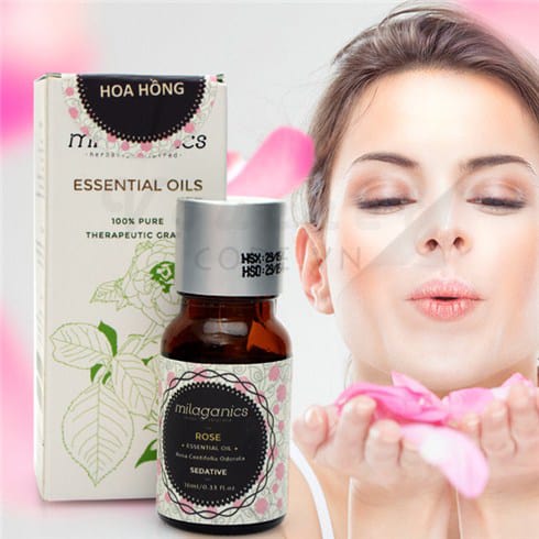 Tinh dau hoa hong %E1%BA%A4n %C4%90%E1%BB%99 Milaganics 10ML 5.1 Review tinh dầu hoa hồng - Công dụng, cách sử dụng đúng nhất