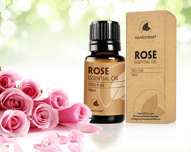 Tinh dau hoa hong Rose Oil 5.2 Review tinh dầu hoa hồng - Công dụng, cách sử dụng đúng nhất