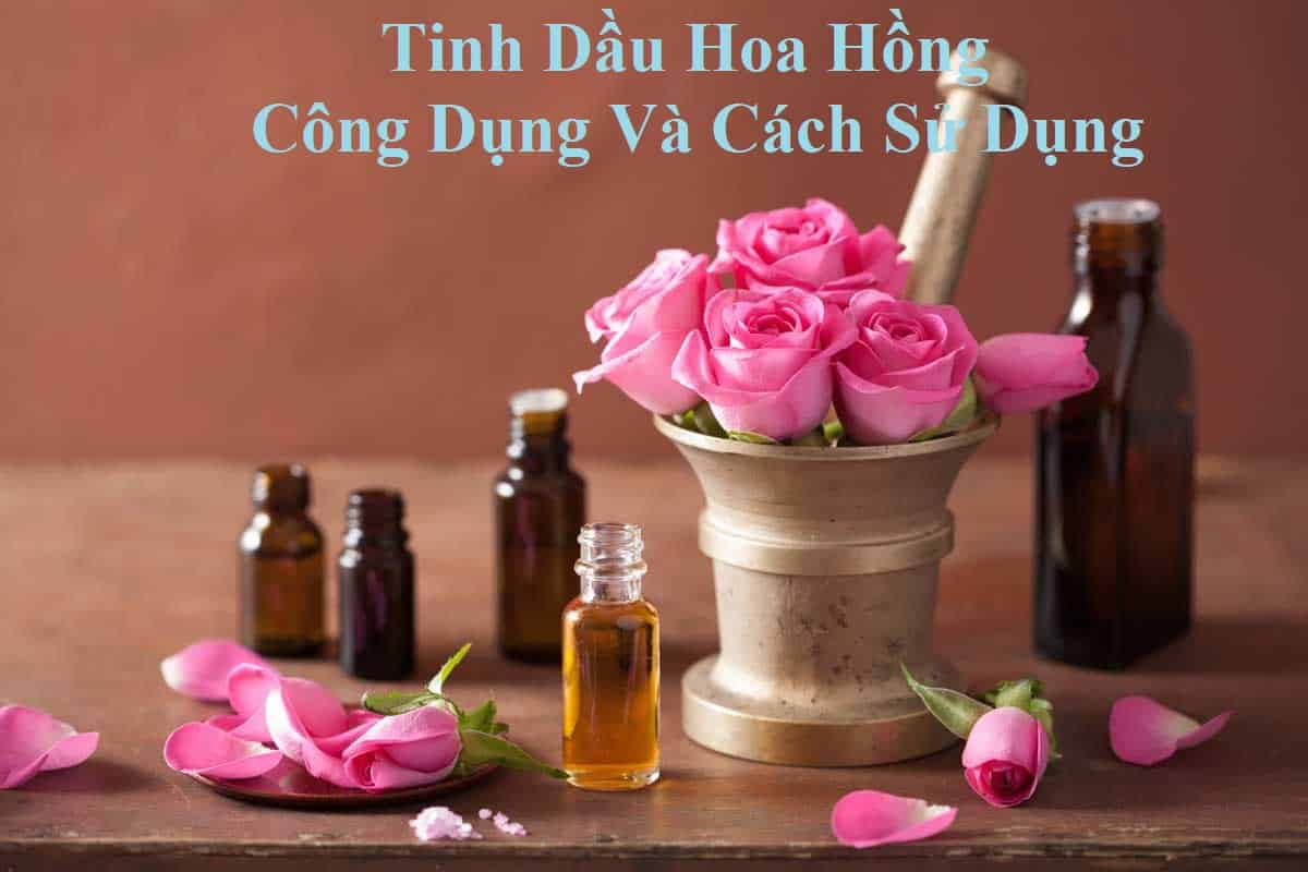 tin dau hoa hong 1 Review tinh dầu hoa hồng - Công dụng, cách sử dụng đúng nhất