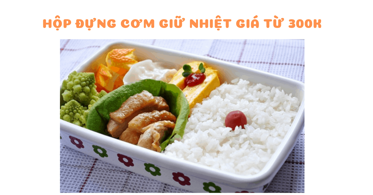 Review 8 hộp đựng thức ăn giữ nhiệt giá dưới 300k