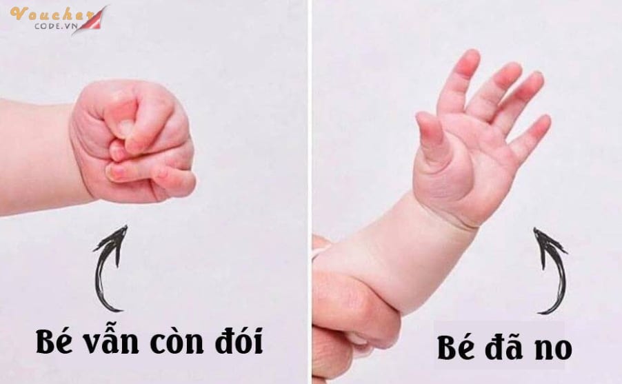 dau hieu mat sua 1 5 dấu hiệu mất sữa, cách chữa trị