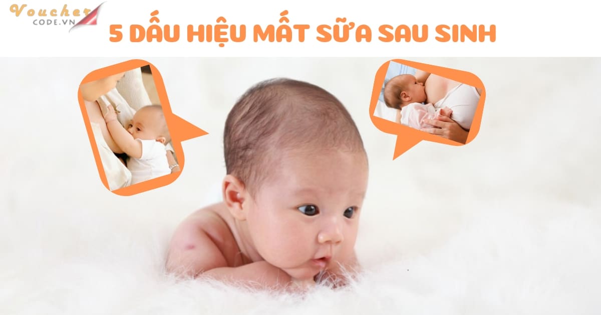 5 dấu hiệu mất sữa và cách chữa trị ngày hôm sau sữa về