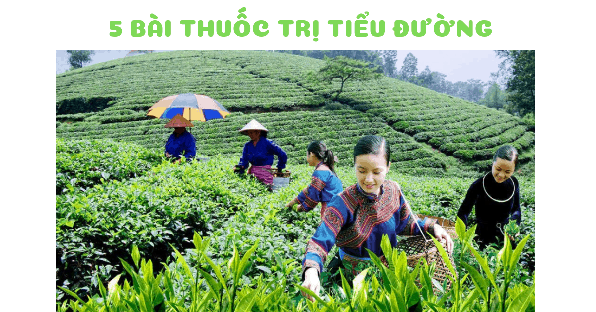Top 5 loại thuốc hỗ trợ điều trị tiểu đường được bác sĩ khuyên dùng
