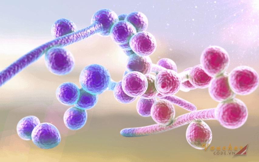 Benh-huyet-trang-co-nguy-hiem-khong-6