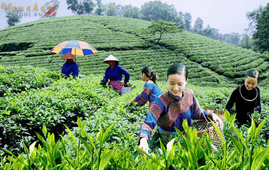 TOP 5 THUOC DIEU TRI TIEU DUONG TOT NHAT HIEN NAY 2 TOP-5-THUOC-DIEU-TRI-TIEU-DUONG-TOT-NHAT-HIEN-NAY-2