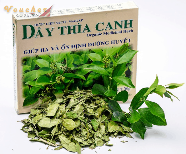 TOP 5 THUOC DIEU TRI TIEU DUONG TOT NHAT HIEN NAY 3 TOP-5-THUOC-DIEU-TRI-TIEU-DUONG-TOT-NHAT-HIEN-NAY-3