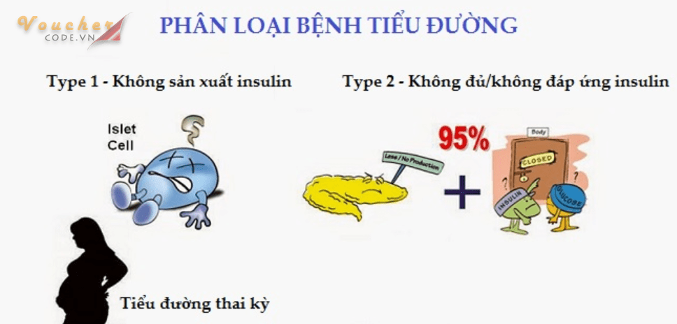 Thong-tin-ve-benh-tieu-duong-2