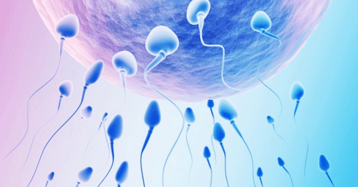 20 dấu hiệu nhận biết mang thai chính xác nhất chỉ sau 1 tuần quan hệ