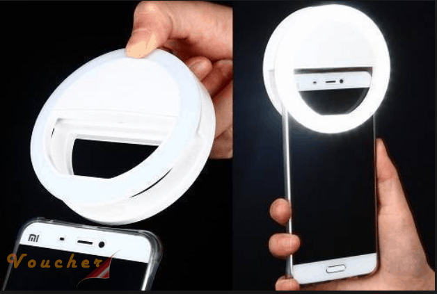 Meo chup anh selfie 6