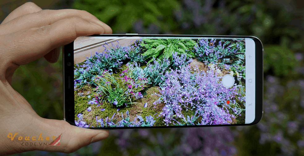 Meo chup anh selfie 8