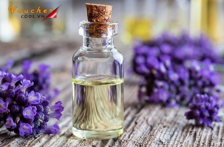 Tinh dau la gi 11 Tinh dau la gi 11