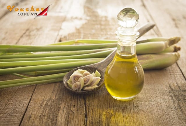 Tinh dau la gi 6 Tinh dau la gi 6