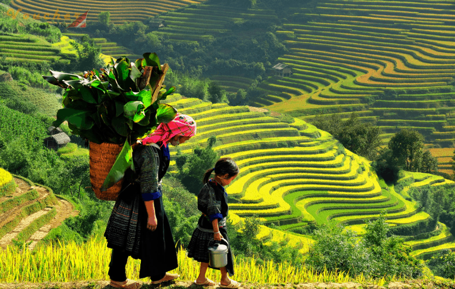 10 diem du lich tuyet voi nhat viet nam ban nen di 1 lan trong doi 1 10 diem du lich tuyet voi nhat viet nam ban nen di 1 lan trong doi 1