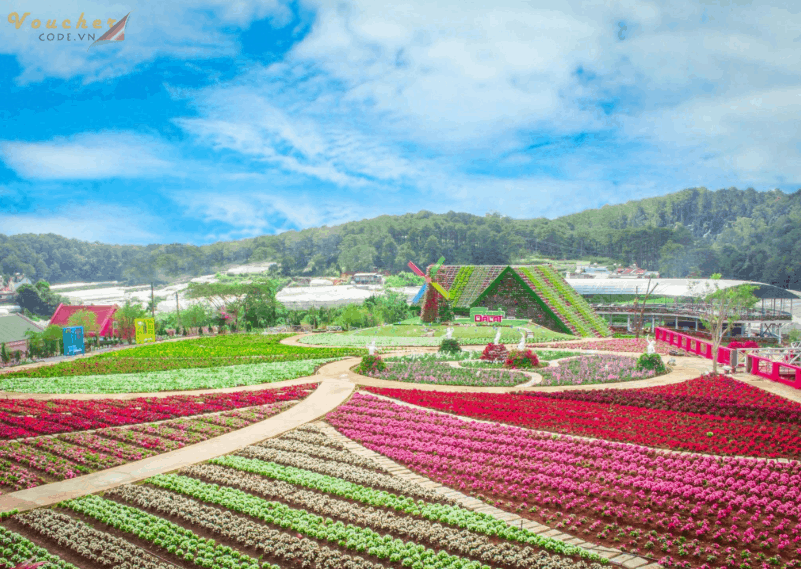 10 diem du lich tuyet voi nhat viet nam ban nen di 1 lan trong doi 23 da lat 10 diem du lich tuyet voi nhat viet nam ban nen di 1 lan trong doi 23 da lat