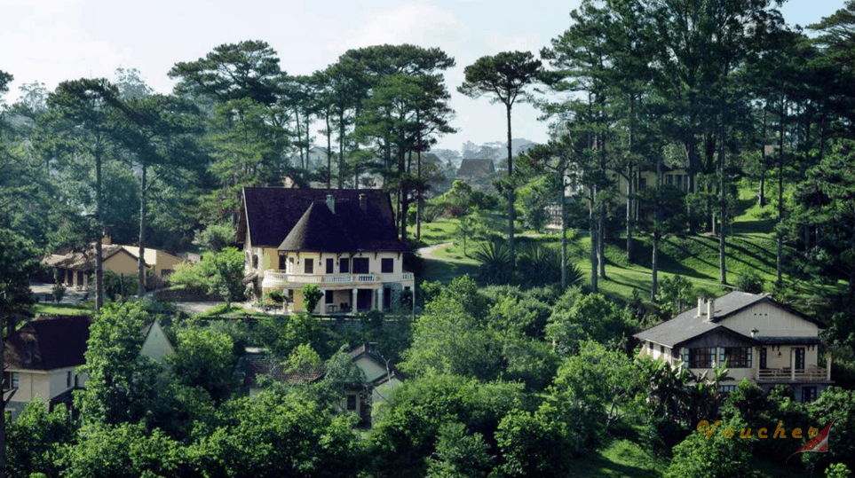 10 diem du lich tuyet voi nhat viet nam ban nen di 1 lan trong doi 24 da lat 10 diem du lich tuyet voi nhat viet nam ban nen di 1 lan trong doi 24 da lat