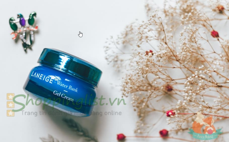 TOP 5 KEM DUONG DA AN TOAN CHO BA BAU6 Water Bank Moisture Cream Laneige