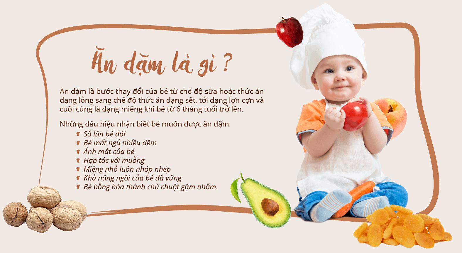 Bánh ăn dặm Gerber có tốt không