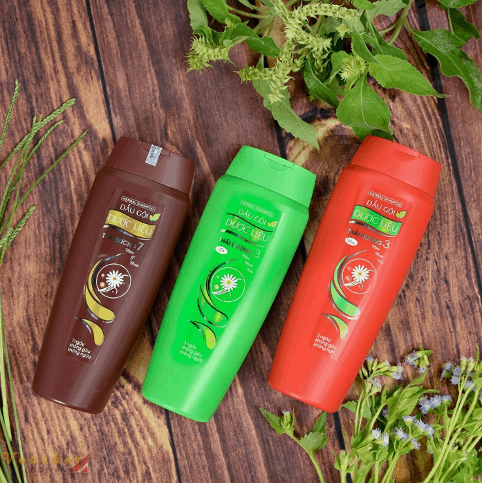 top-5-dau-goi-tri-gau-mua-dong-tot-nhat-2