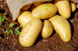 Cach-lam-trang-da-tu-nhien-tot-nhat-3