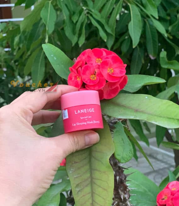 Review-mat-na-ngu-moi-laneige-14