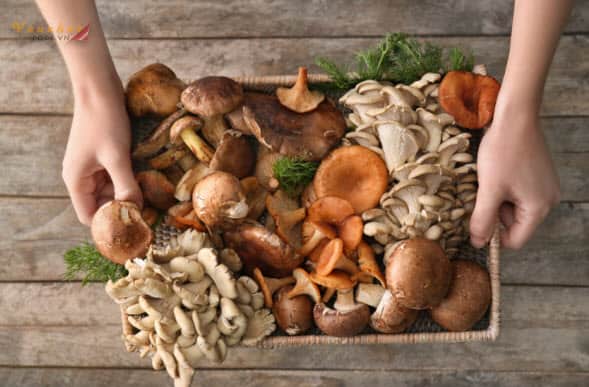 Ăn nhiều Nấm