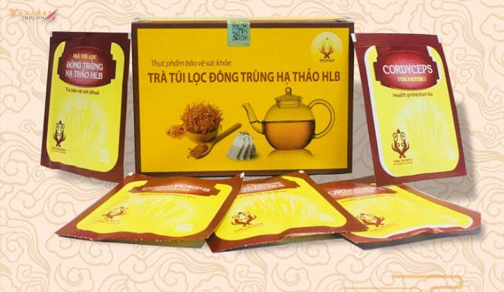 Trà túi lọc Đông Trùng Hạ Thảo    