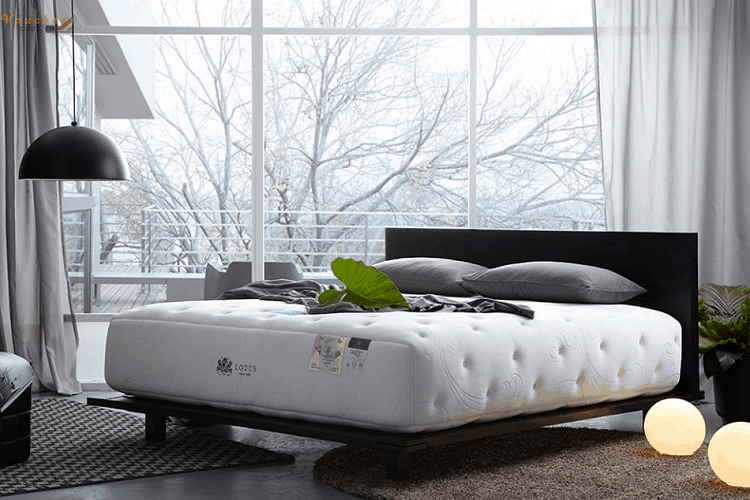 Sử dụng nệm cao su non có tốt không