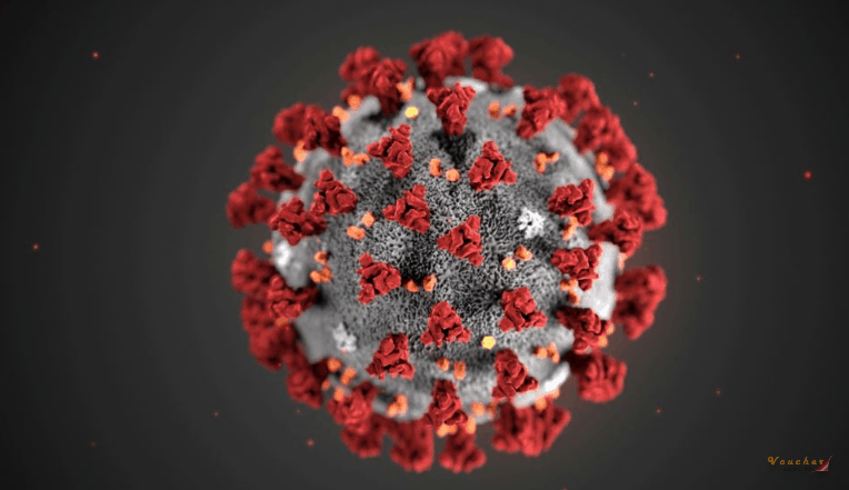 Cach Phong Ngua Virus Corona Tai Nha 1