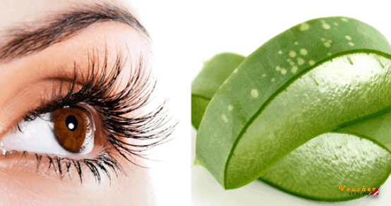 Lam Long Mi Dai Cong Tu Nhien 2