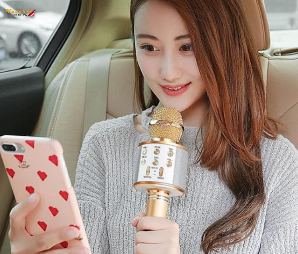 micro karaoke bluetooth loai nao tot 4 Micro Karaoke Bluetooth Loai Nao Tot 4