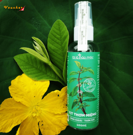Nuoc Xit Thom Mieng Tot Nhat 12