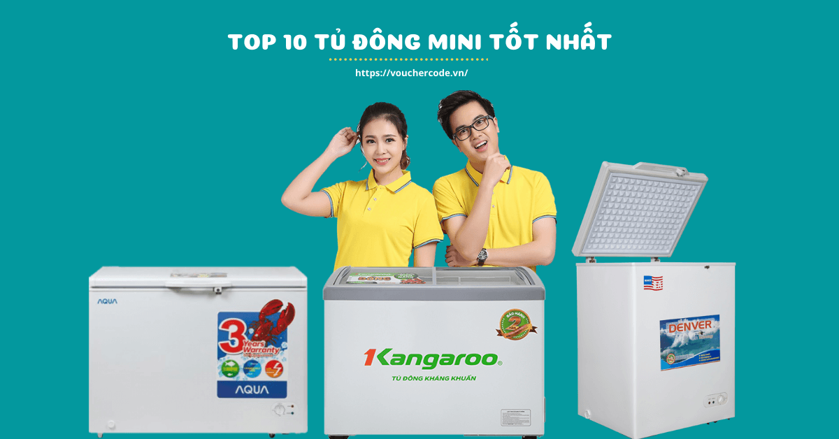 Top 10 tủ đông mini gia đình, tủ đông mini trữ sữa tốt nhất