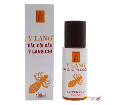 dau goi tri chay tot nhat 4