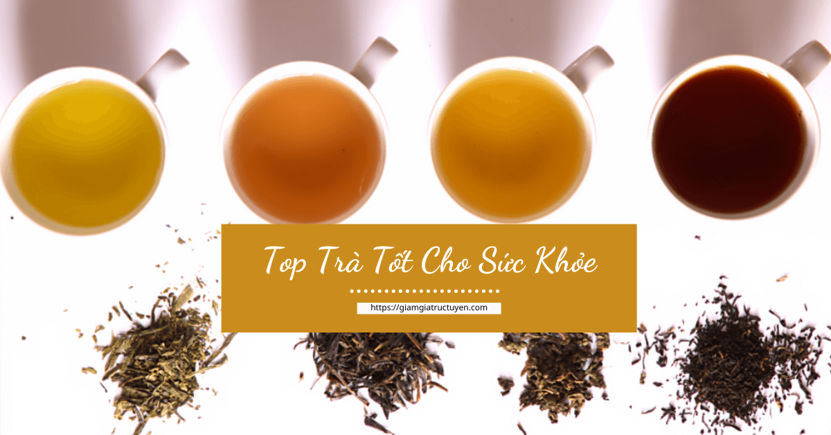 9 Loại Trà Tốt Cho Sức Khỏe Giúp Giảm Mỡ Thừa Trẻ Hóa Làn Da