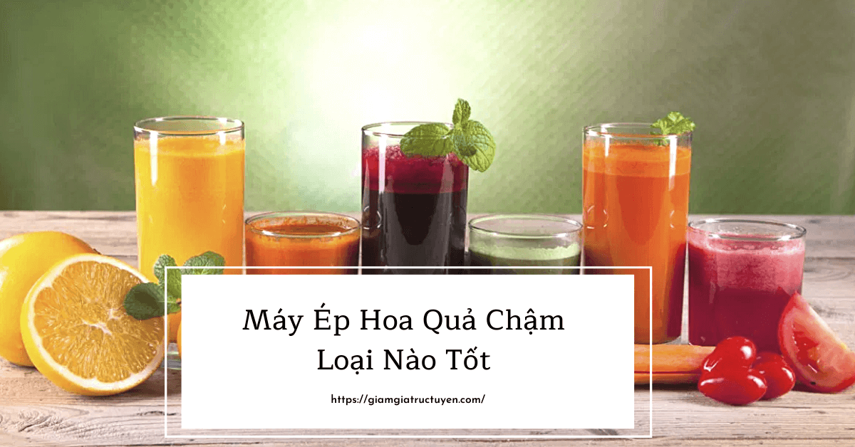 Top 7 Máy Ép Hoa Quả Chậm Loại Nào Tốt Đáng Đồng Tiền Bát Gạo