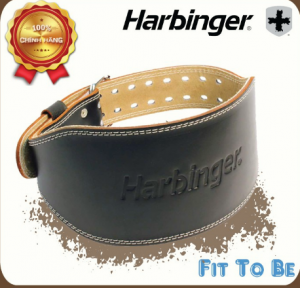 dai lung tap gym tot nhat 3 dai lung tap gym tot nhat 3