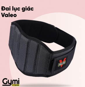 dai lung tap gym tot nhat 4 dai lung tap gym tot nhat 4
