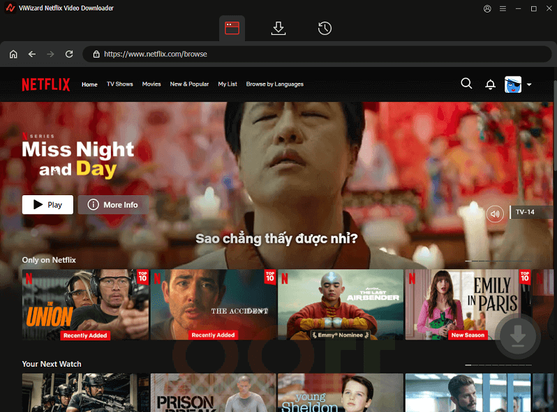 viwizard netflix video downloader viwizard netflix video downloader